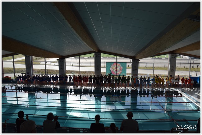 Mistrzostwa powiatu w pływaniu