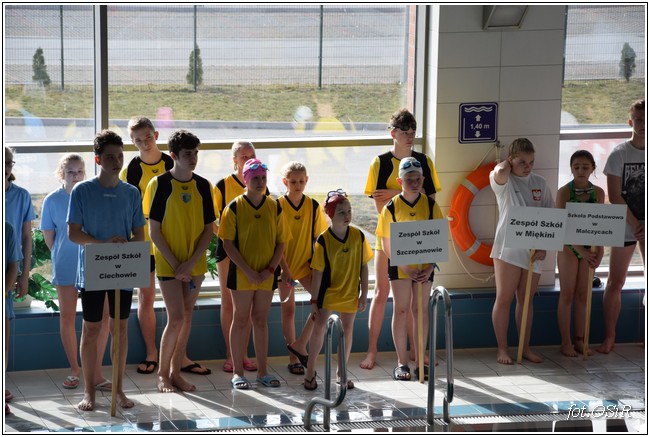 Mistrzostwa powiatu w pływaniu