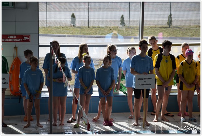 Mistrzostwa powiatu w pływaniu