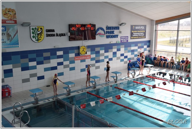 Mistrzostwa powiatu w pływaniu