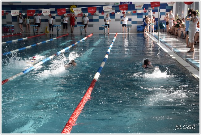 Mistrzostwa powiatu w pływaniu