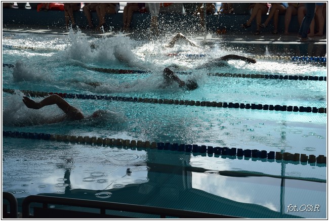 Mistrzostwa powiatu w pływaniu