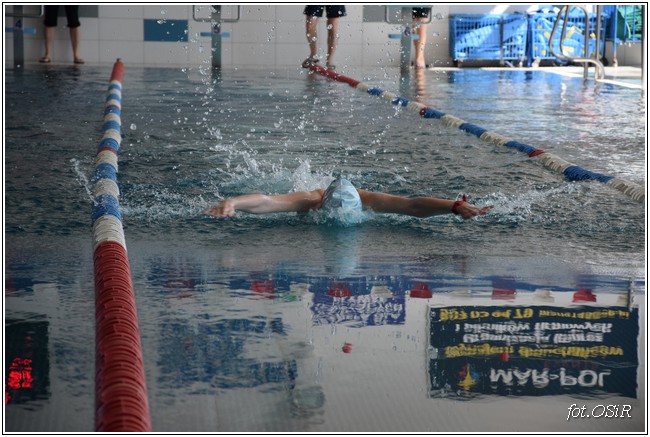 Mistrzostwa powiatu w pływaniu