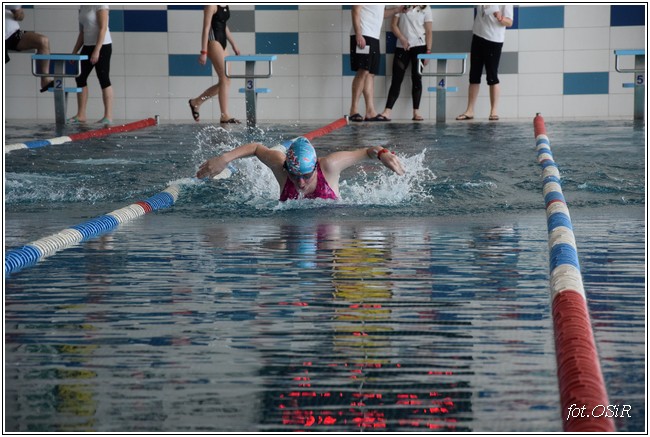 Mistrzostwa powiatu w pływaniu