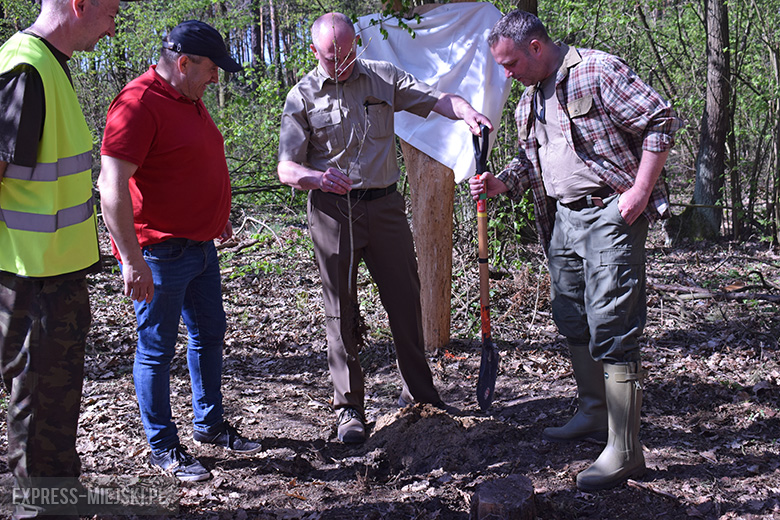 Sadzenie lasu w Leśnictwie Mrozów