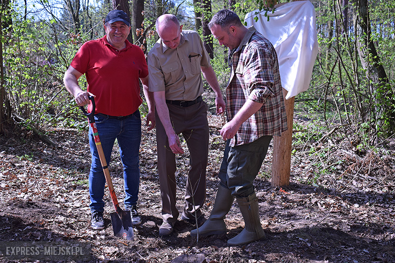 Sadzenie lasu w Leśnictwie Mrozów
