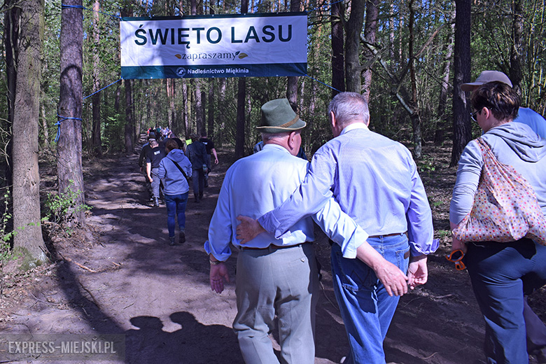 Sadzenie lasu w Leśnictwie Mrozów