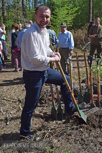 Sadzenie lasu w Leśnictwie Mrozów