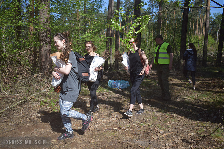 Sadzenie lasu w Leśnictwie Mrozów
