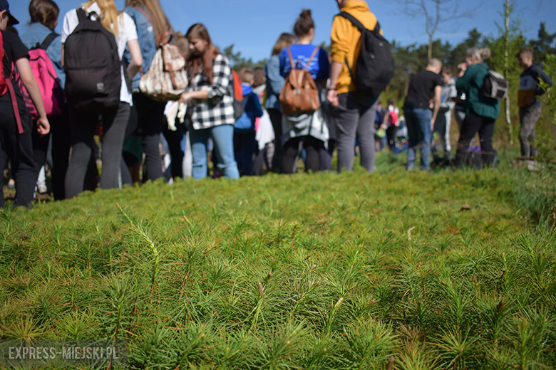 Sadzenie lasu w Leśnictwie Mrozów