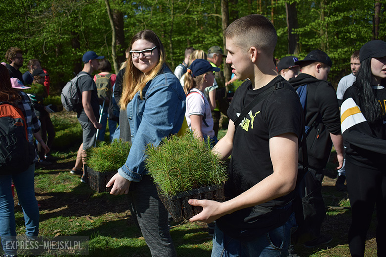 Sadzenie lasu w Leśnictwie Mrozów
