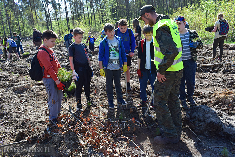 Sadzenie lasu w Leśnictwie Mrozów