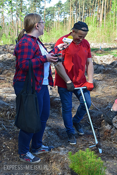 Sadzenie lasu w Leśnictwie Mrozów