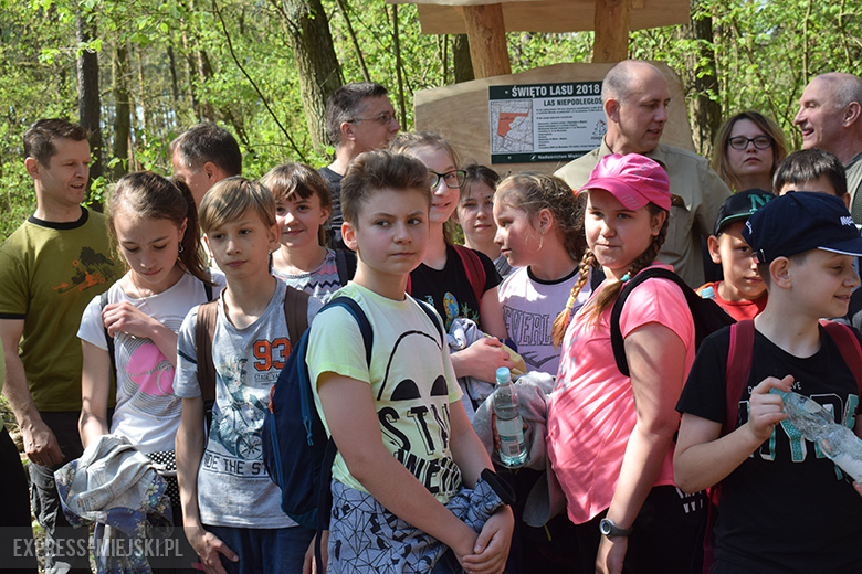 Sadzenie lasu w Leśnictwie Mrozów