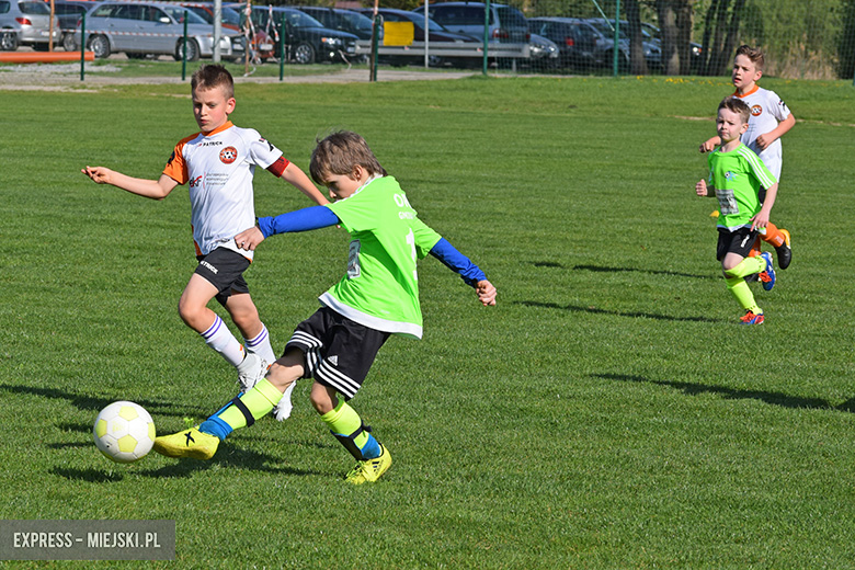 Ponad stu młodych zawodników rywalizowało w turnieju Schumacher Packaging Cup w Miękini