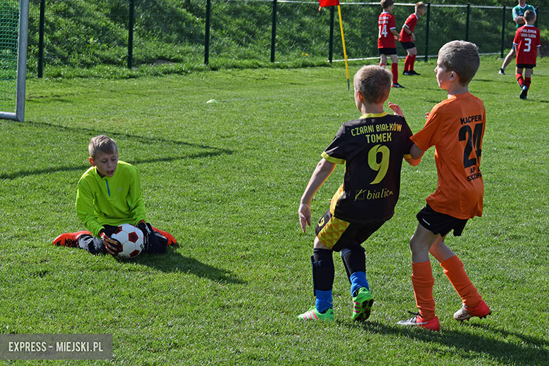 Ponad stu młodych zawodników rywalizowało w turnieju Schumacher Packaging Cup w Miękini