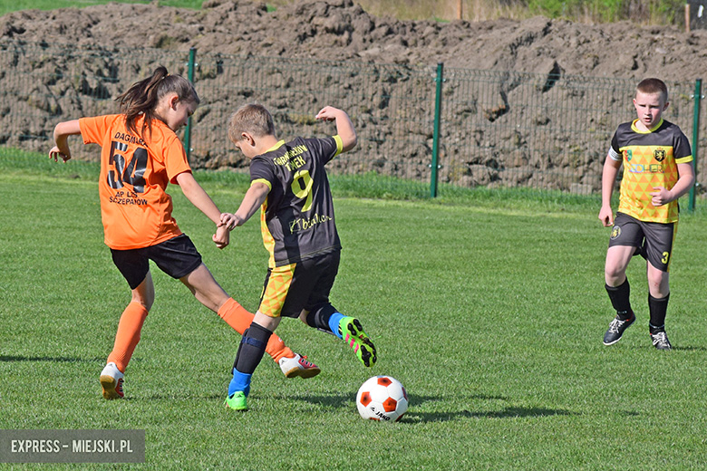 Ponad stu młodych zawodników rywalizowało w turnieju Schumacher Packaging Cup w Miękini