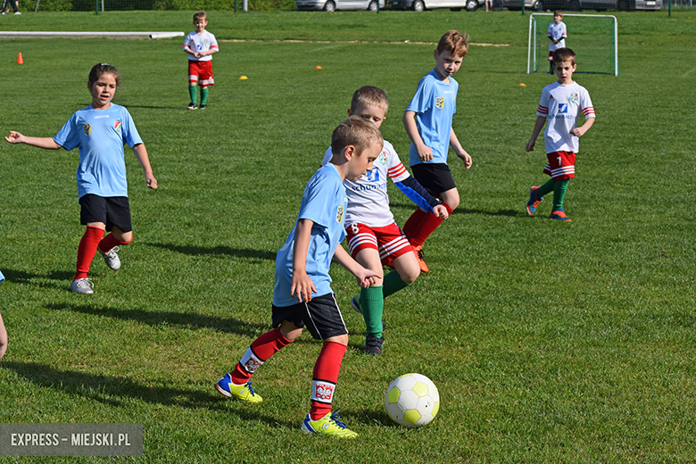 Ponad stu młodych zawodników rywalizowało w turnieju Schumacher Packaging Cup w Miękini