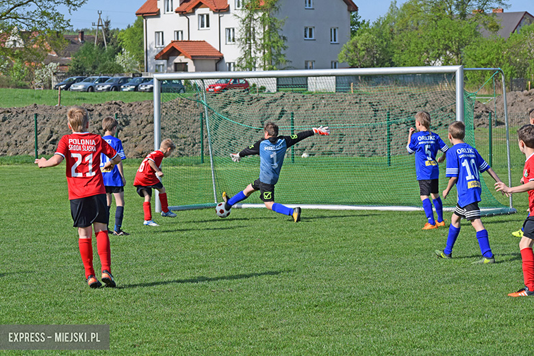Ponad stu młodych zawodników rywalizowało w turnieju Schumacher Packaging Cup w Miękini