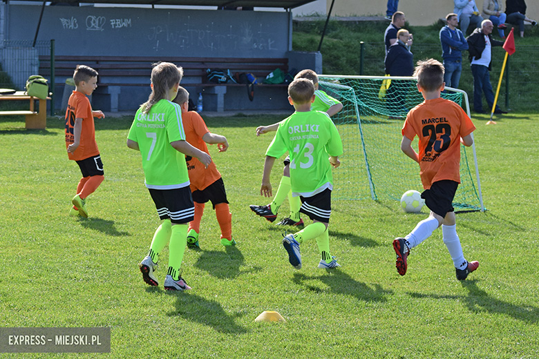 Ponad stu młodych zawodników rywalizowało w turnieju Schumacher Packaging Cup w Miękini