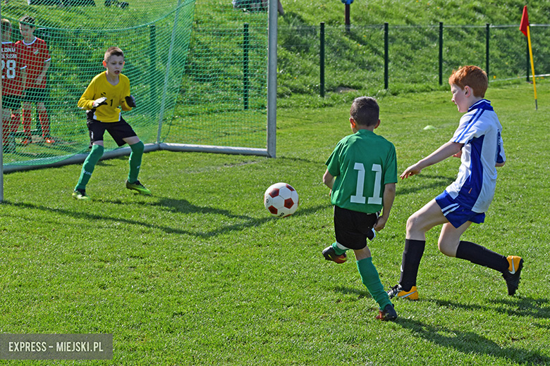 Ponad stu młodych zawodników rywalizowało w turnieju Schumacher Packaging Cup w Miękini