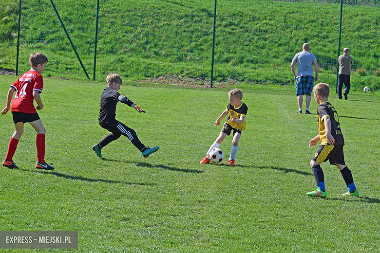 Ponad stu młodych zawodników rywalizowało w turnieju Schumacher Packaging Cup w Miękini
