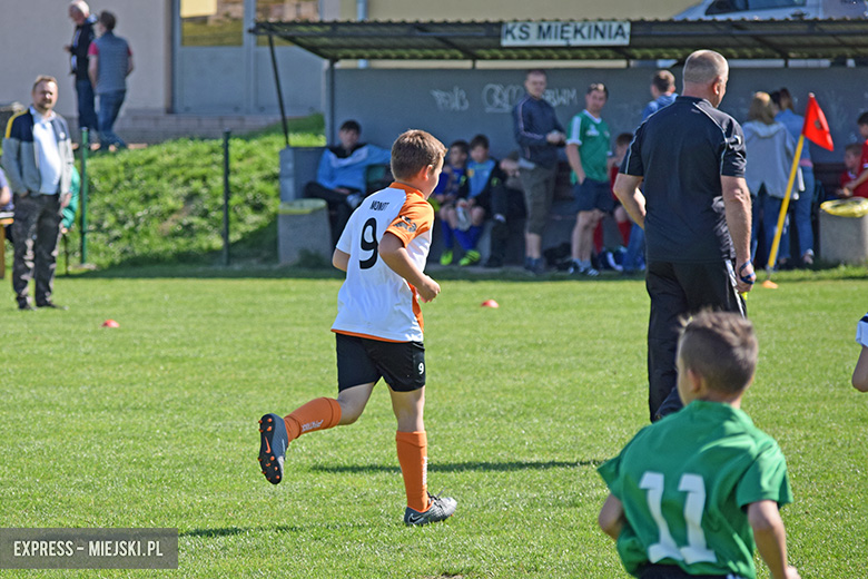 Ponad stu młodych zawodników rywalizowało w turnieju Schumacher Packaging Cup w Miękini