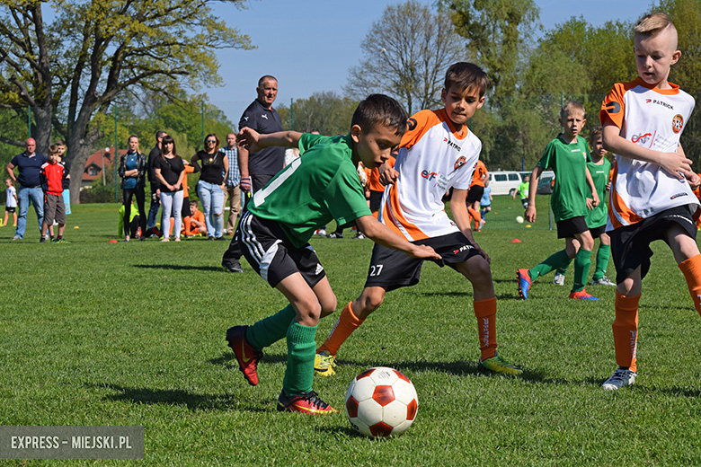 Ponad stu młodych zawodników rywalizowało w turnieju Schumacher Packaging Cup w Miękini