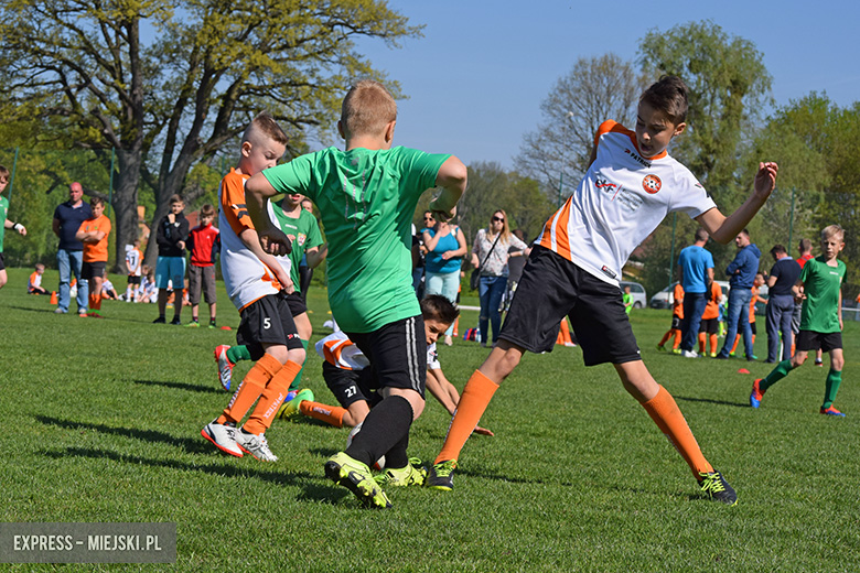 Ponad stu młodych zawodników rywalizowało w turnieju Schumacher Packaging Cup w Miękini