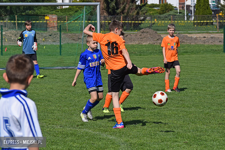 Ponad stu młodych zawodników rywalizowało w turnieju Schumacher Packaging Cup w Miękini