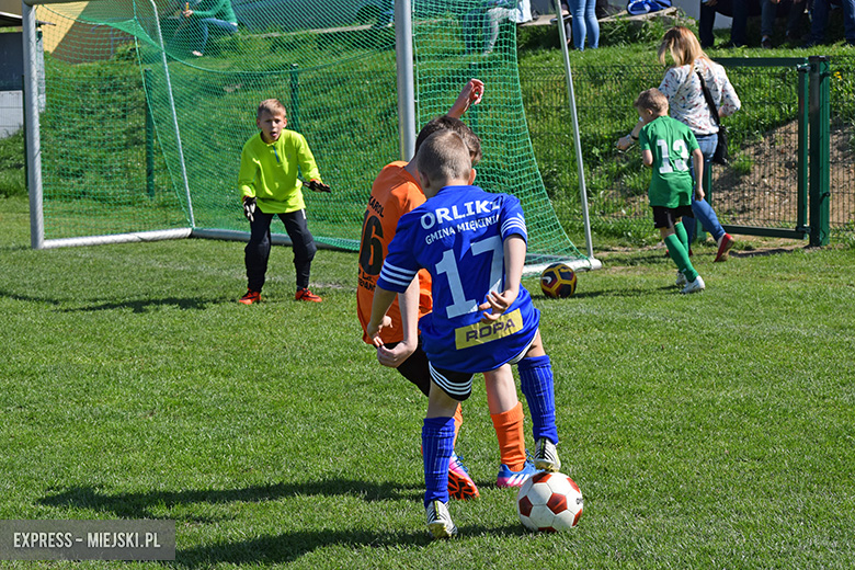 Ponad stu młodych zawodników rywalizowało w turnieju Schumacher Packaging Cup w Miękini