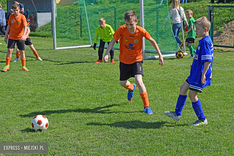 Ponad stu młodych zawodników rywalizowało w turnieju Schumacher Packaging Cup w Miękini