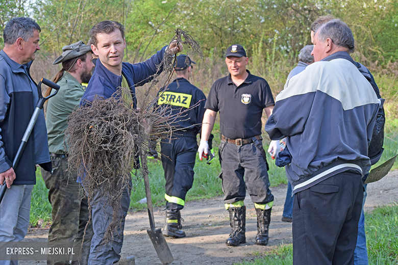 Sadzenie drzewek w Malczycach
