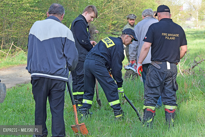 Sadzenie drzewek w Malczycach