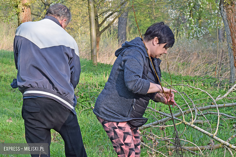 Sadzenie drzewek w Malczycach