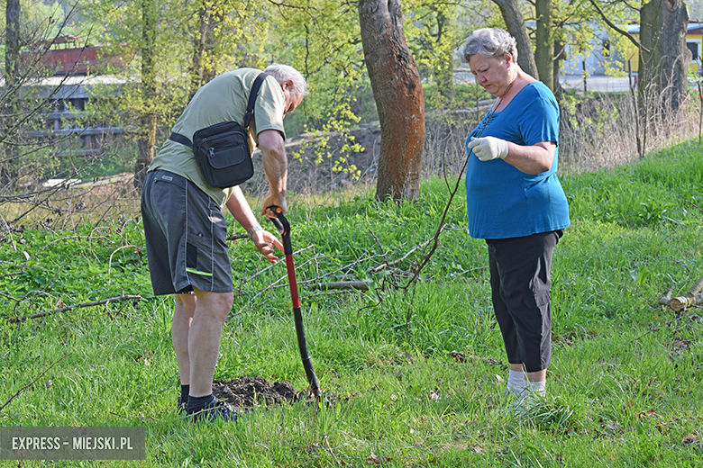 Sadzenie drzewek w Malczycach