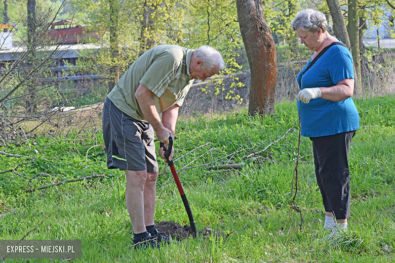 Sadzenie drzewek w Malczycach