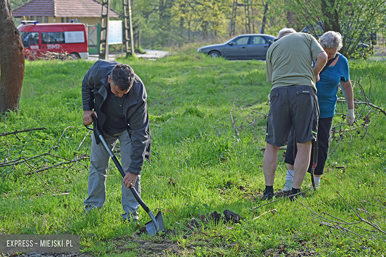 Sadzenie drzewek w Malczycach