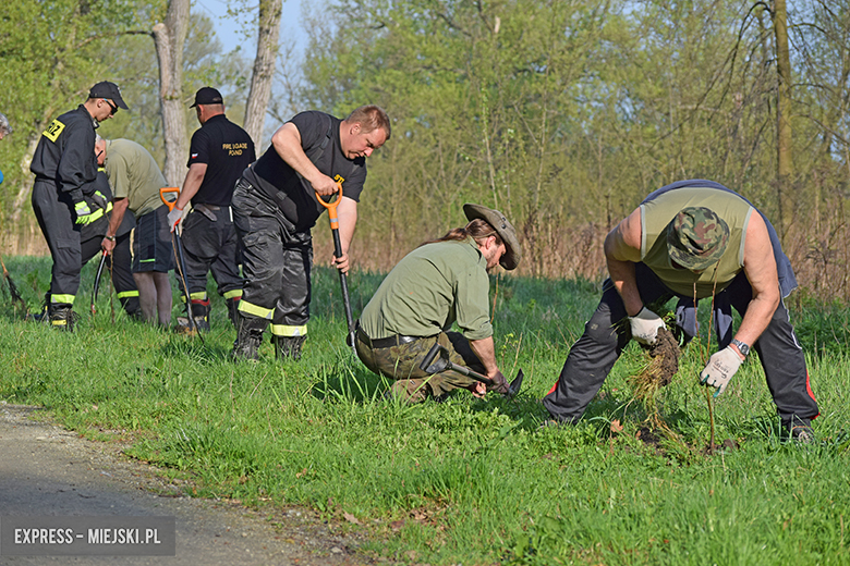 Sadzenie drzewek w Malczycach