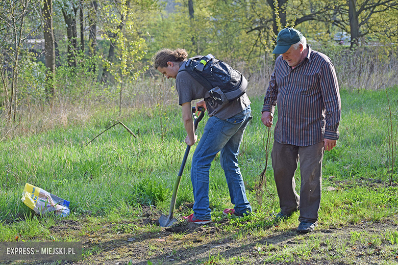 Sadzenie drzewek w Malczycach