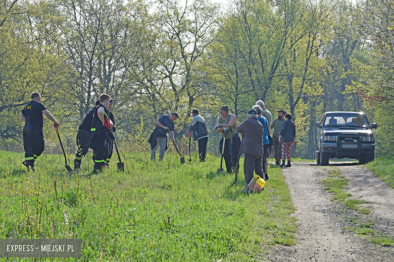 Sadzenie drzewek w Malczycach