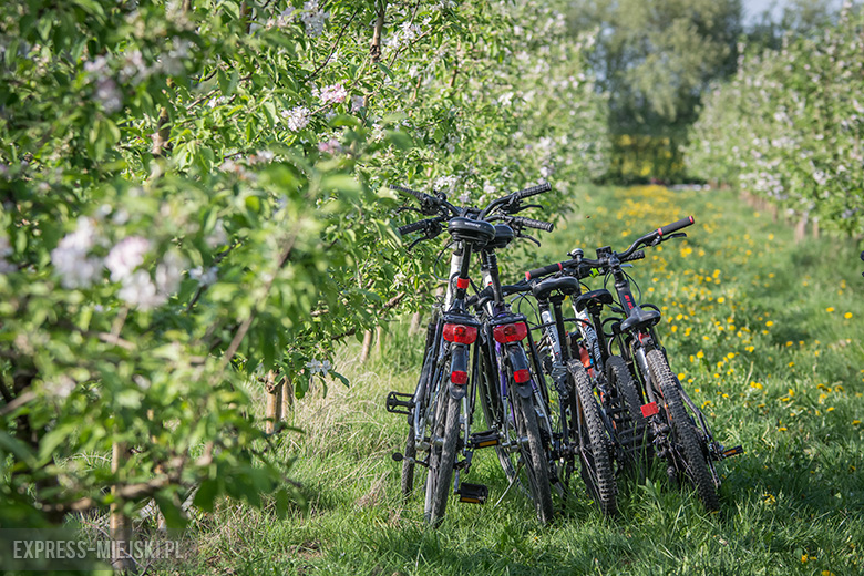 IV Święto Sadu w Lutyni