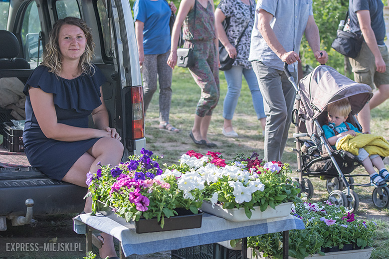 IV Święto Sadu w Lutyni