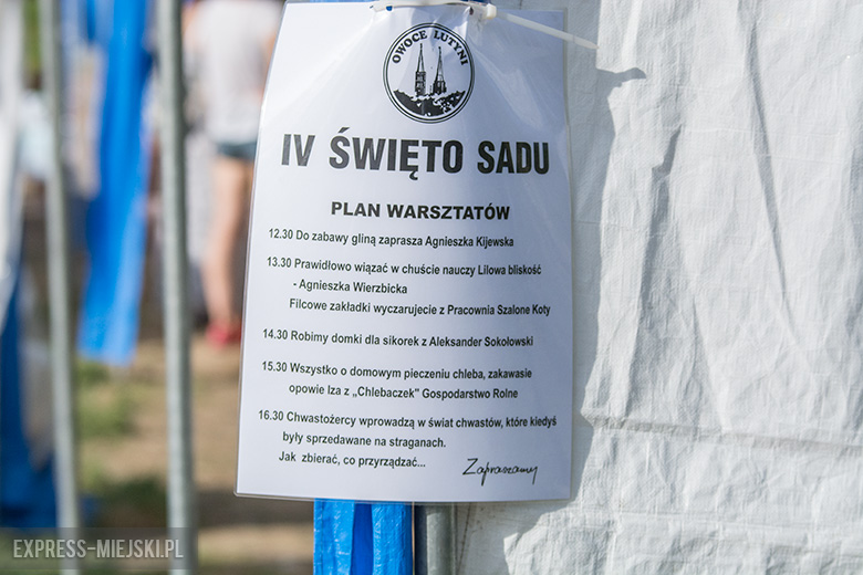 IV Święto Sadu w Lutyni