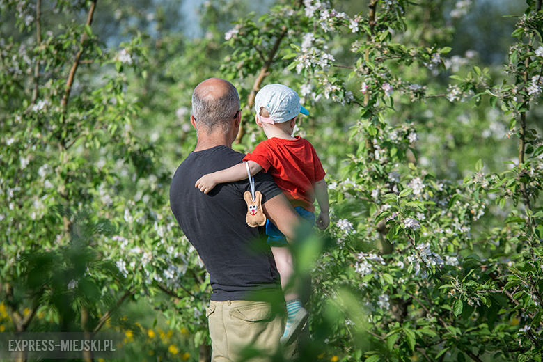 IV Święto Sadu w Lutyni