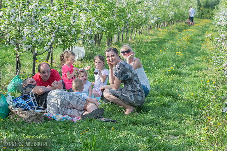 IV Święto Sadu w Lutyni