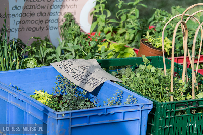 IV Święto Sadu w Lutyni