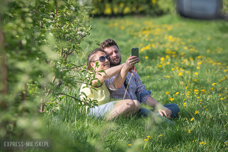 IV Święto Sadu w Lutyni