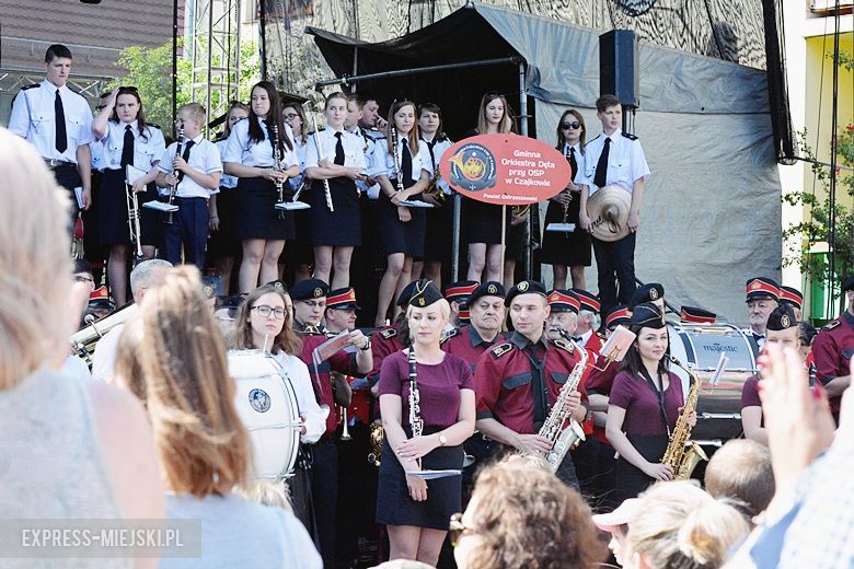 II edycja Festiwalu Orkiestr Dętych w Środzie Śląskiej