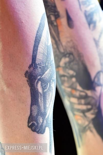 Wrocław Tattoo Konwent 2018